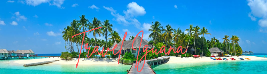 A tropical island resort in the Maldives with palm trees, white sand beaches, and crystal clear blue water.