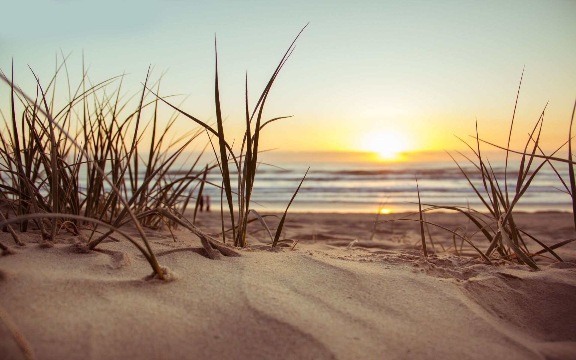 Sunrise over a sandy beach with dune grass and calm ocean waves