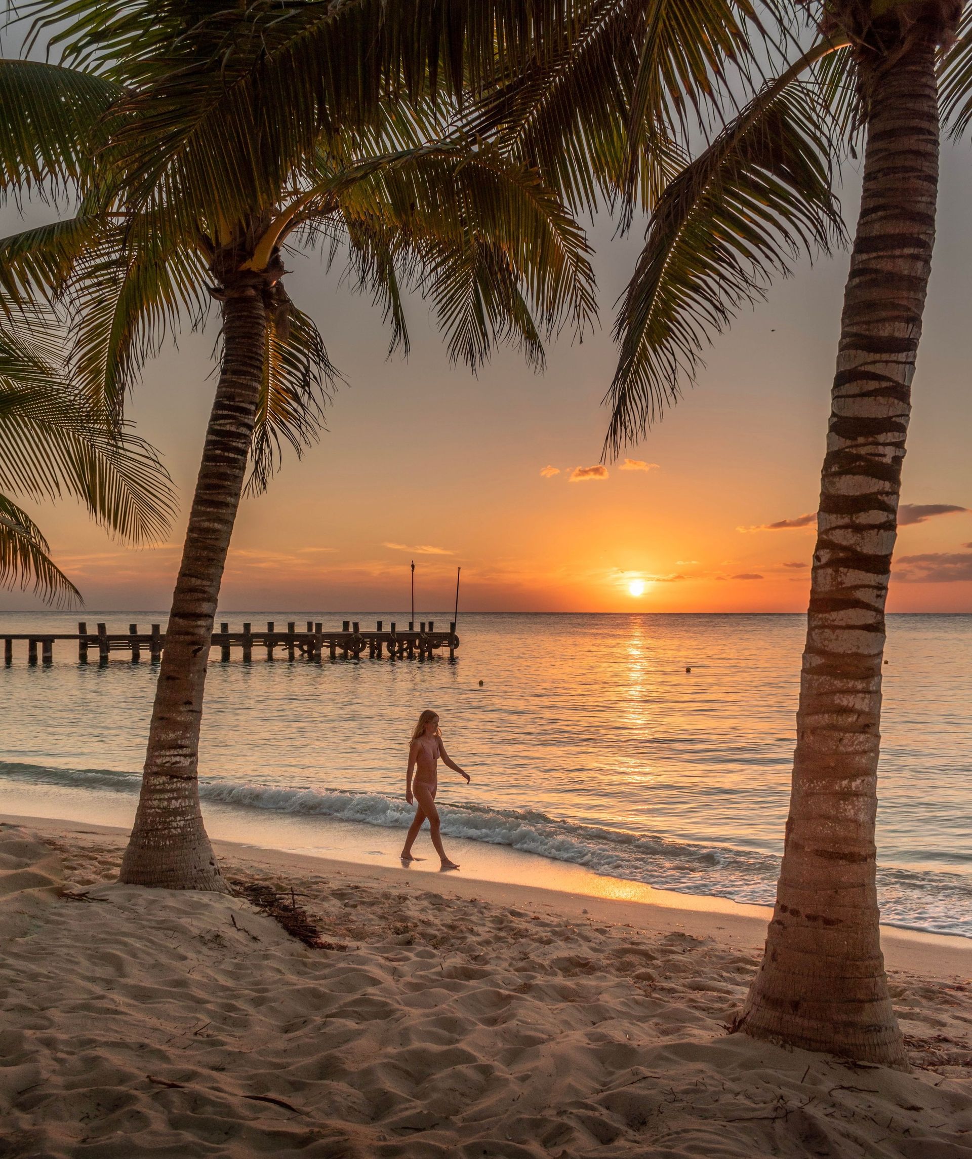 Sunset beach scene with palm trees, a pier, and a person walking along the shoreline