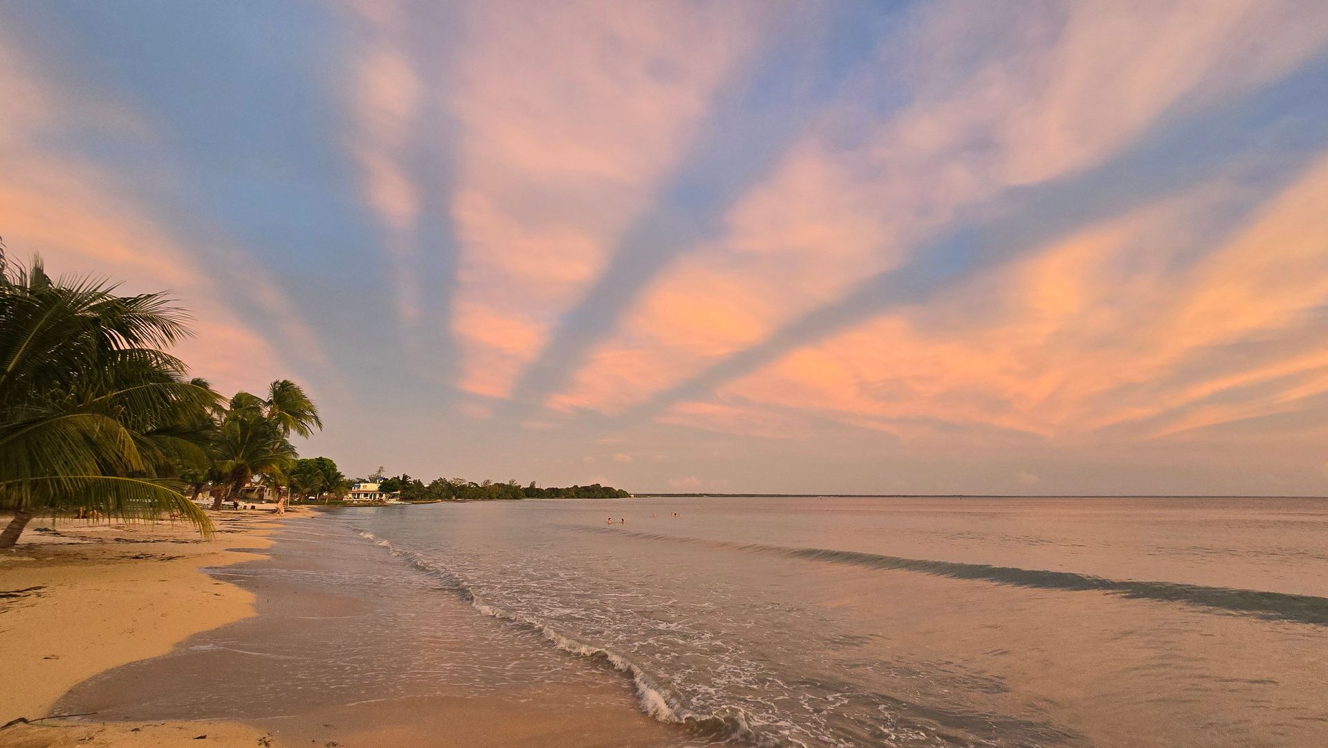 Sunset over a calm beach with pink clouds and palm trees along the shore