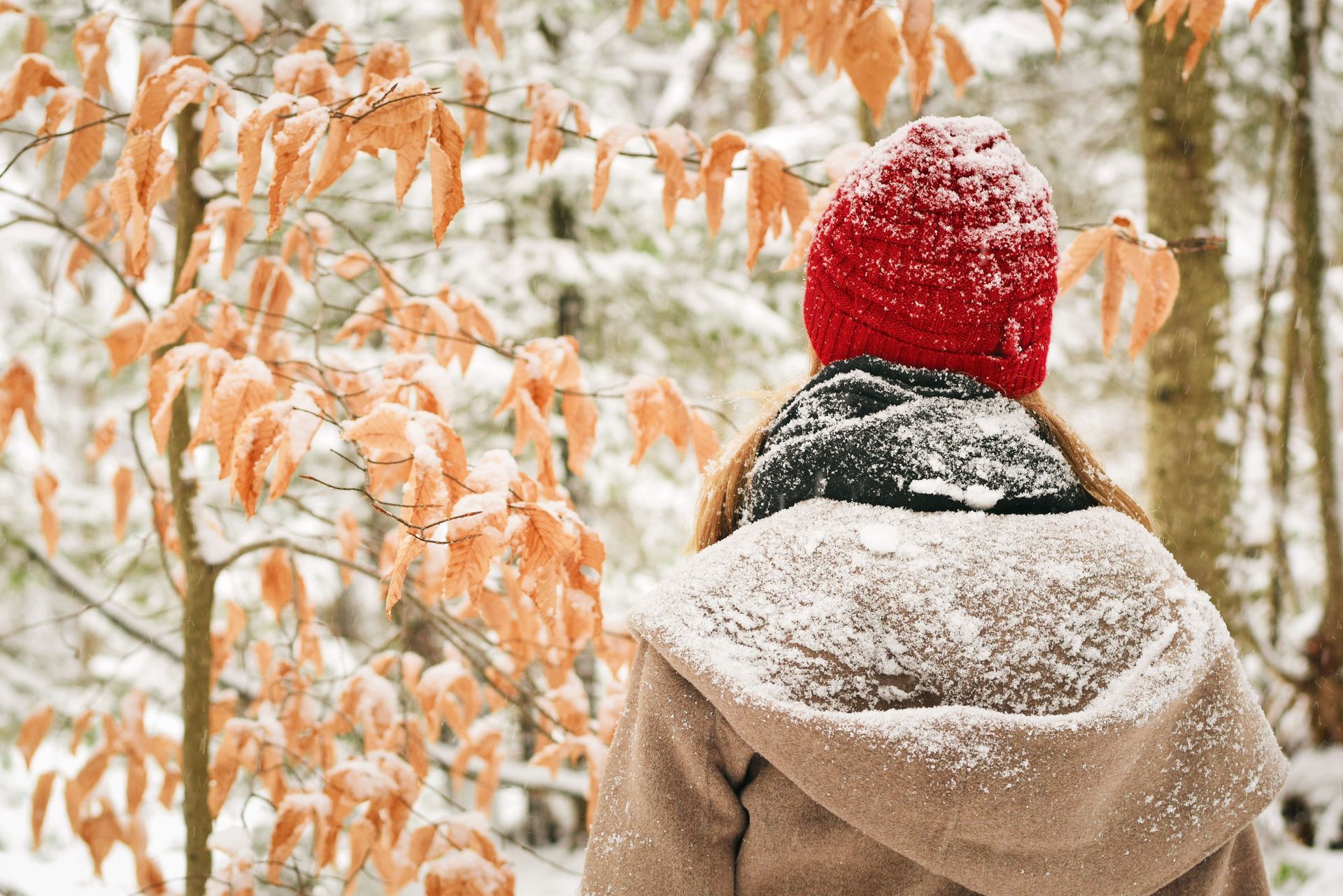 Person in a red knit hat and tan coat standing in a snowy forest with orange leaves