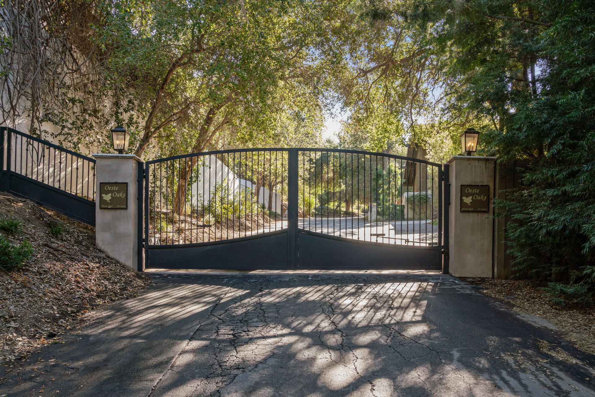A black gate is surrounded by trees on the side of a road.