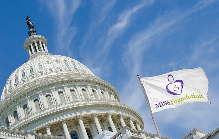 U.S. Capitol dome with a white MITS Foundation flag waving against a blue sky