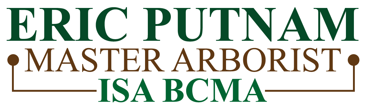 Eric Putnam, BCMA logo