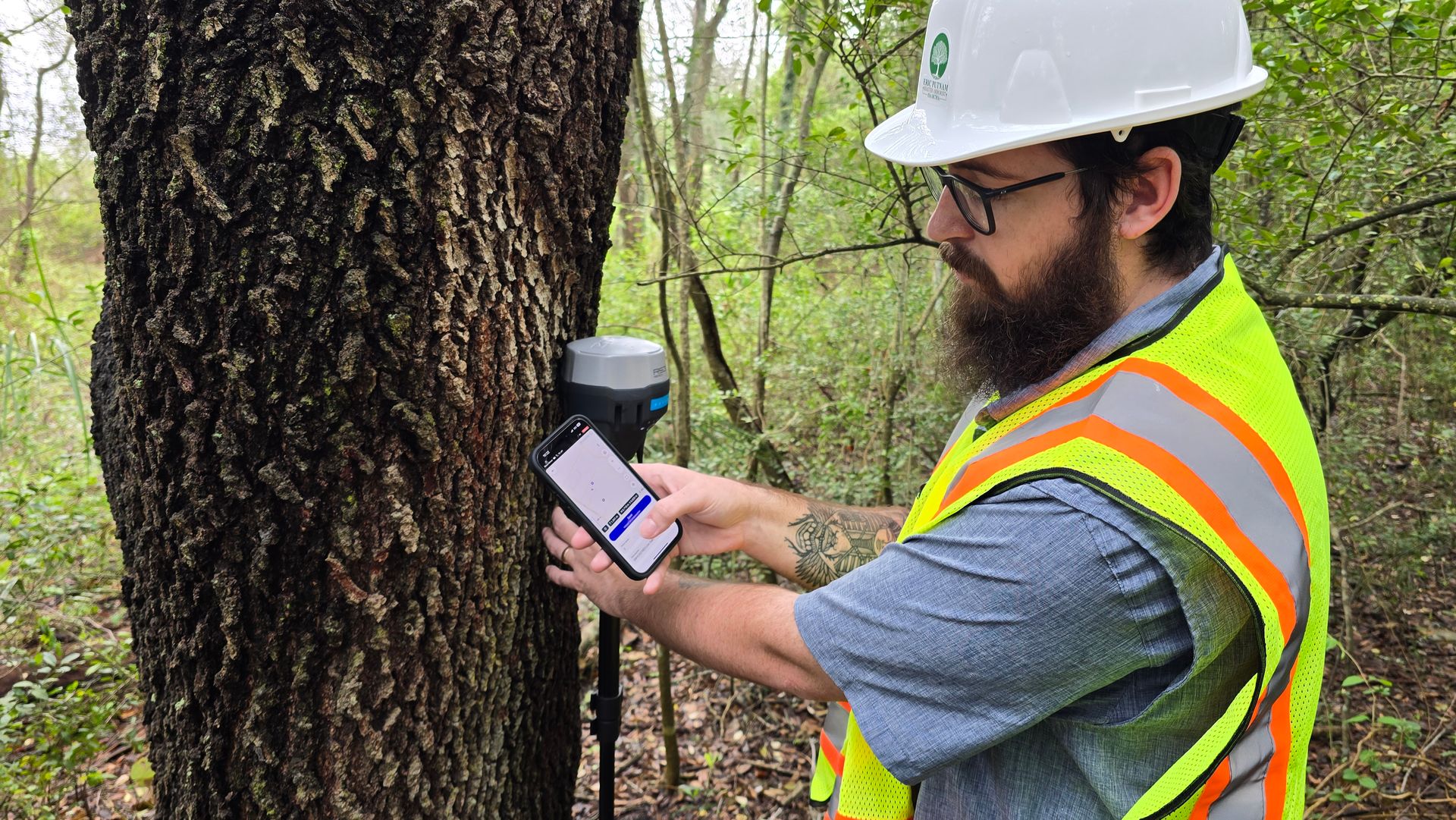Tree Surveying & Cataloging | Eric Putnam BCMA