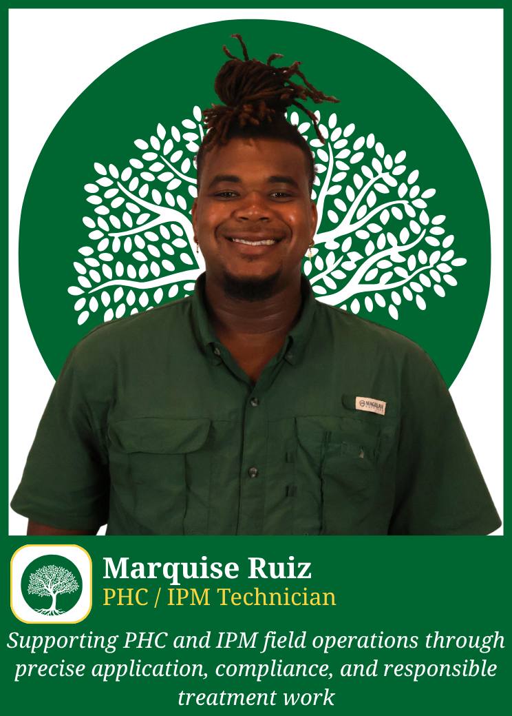 Field Team, Marquise Ruiz