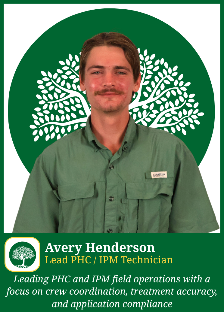 Field Team, Avery Henderson