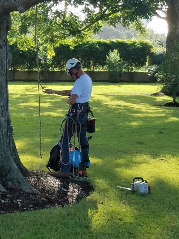 Rope worker in white shirt and helmet standing by a tree in a sunny park, with gear hanging from a harness