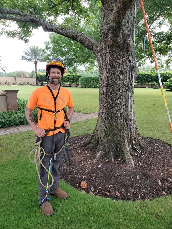 Arborist in orange safety gear standing beside a large tree, holding climbing ropes in a grassy park.