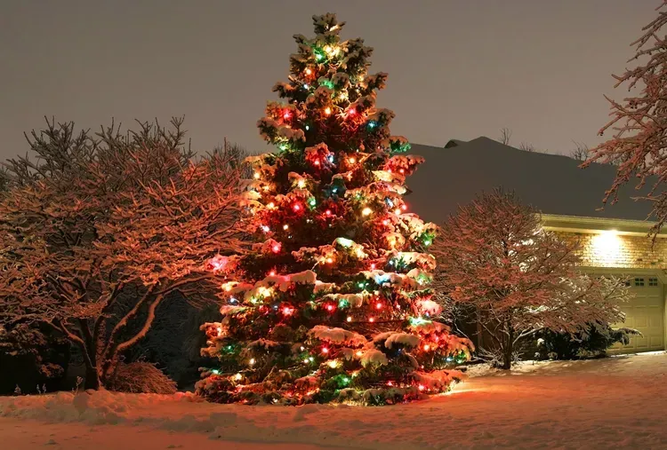 Christmas tree decorated with colorful lights glowing in a snowy yard at night