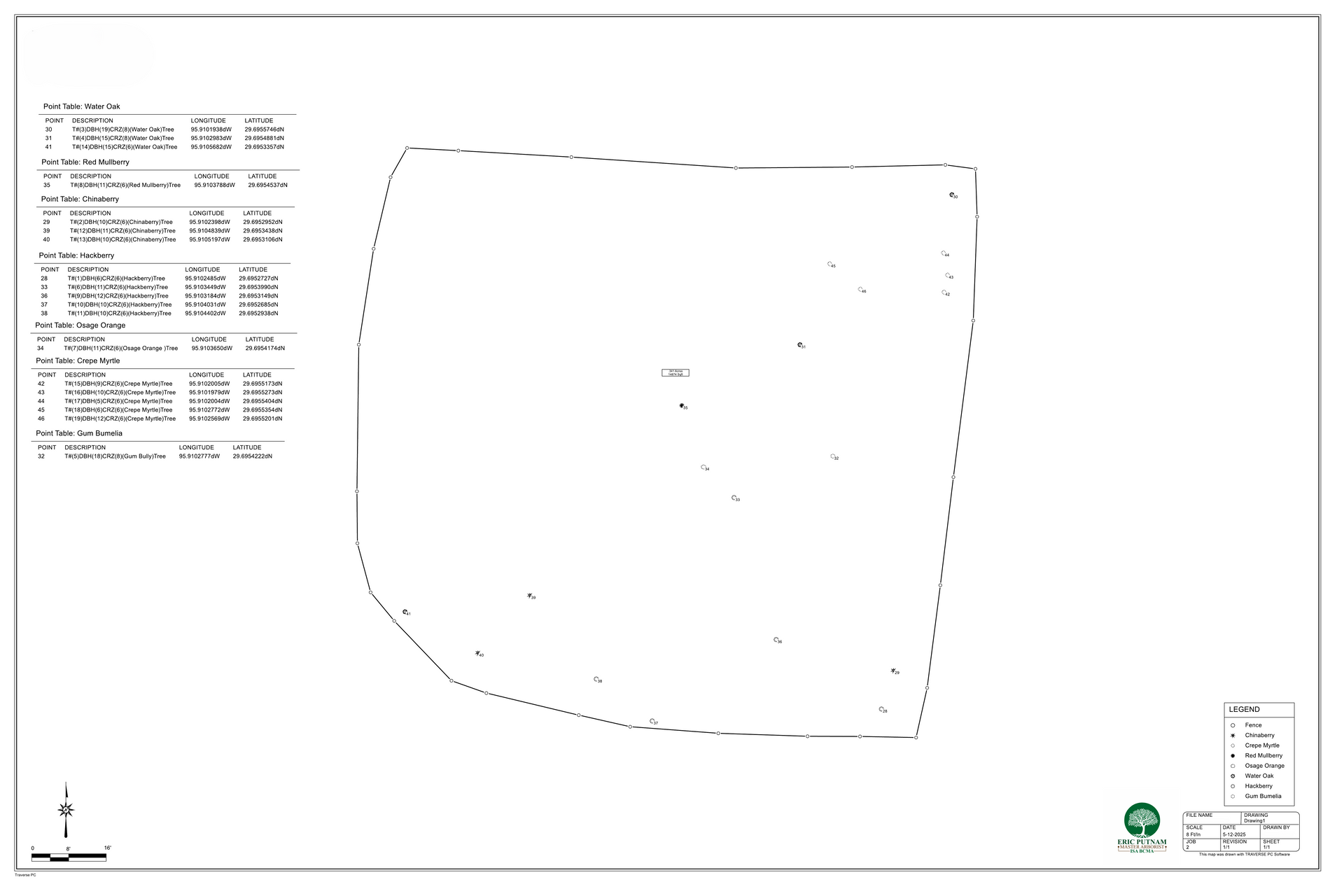 Example of a finished Tree Survey
