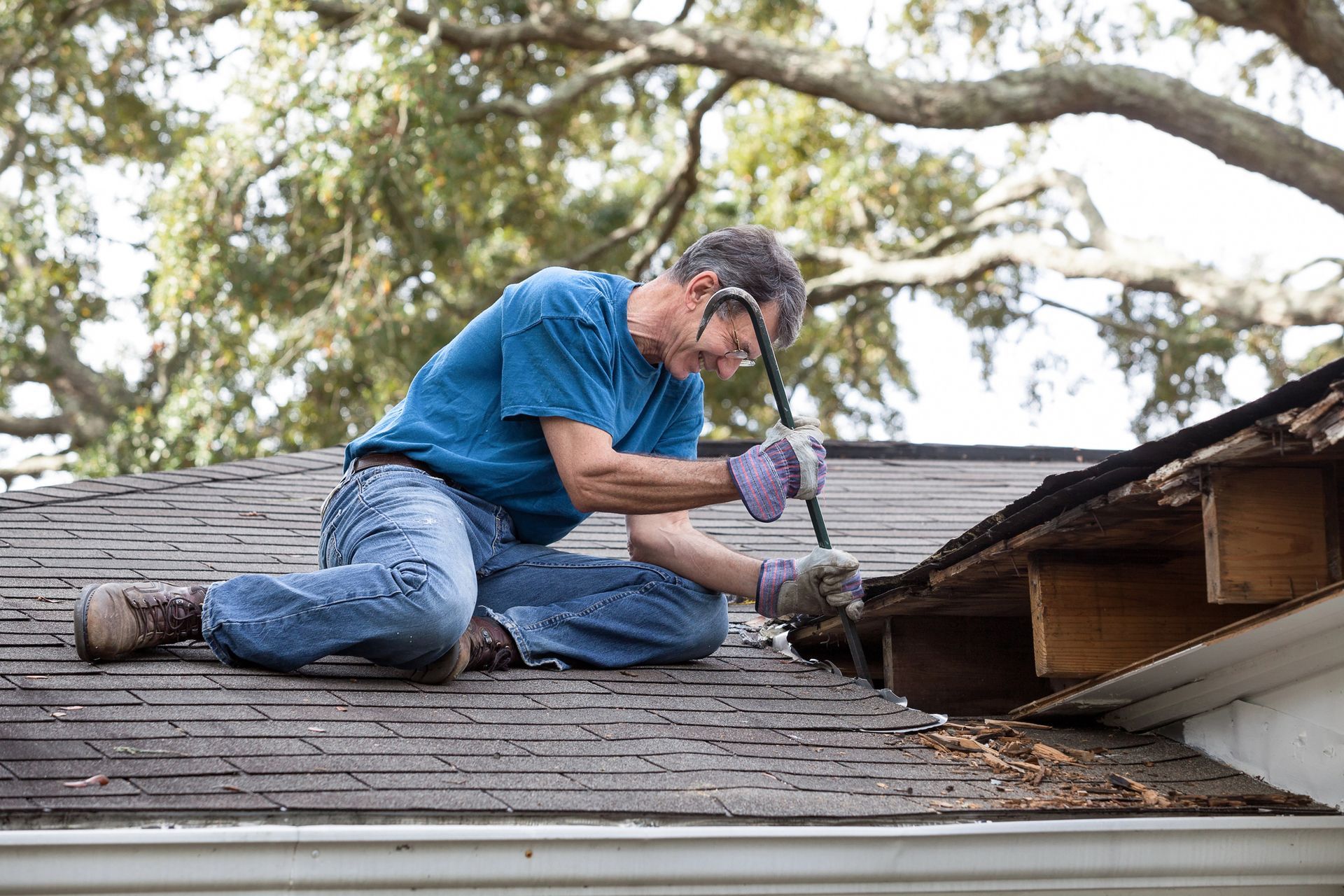 Rotted Wood Repair in Herndon, VA