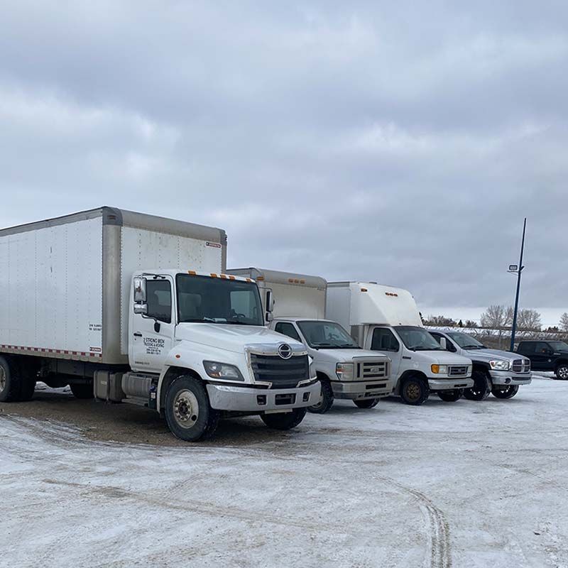 A row of trucks are parked in a snowy parking lot.