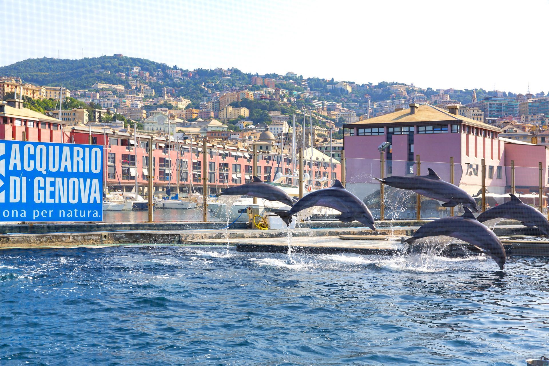 Genova