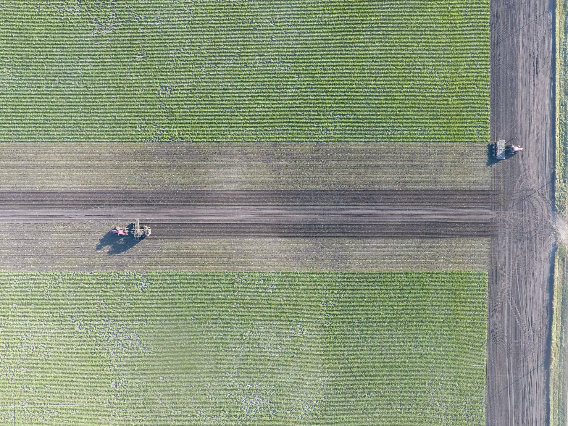 Aerial Imagery