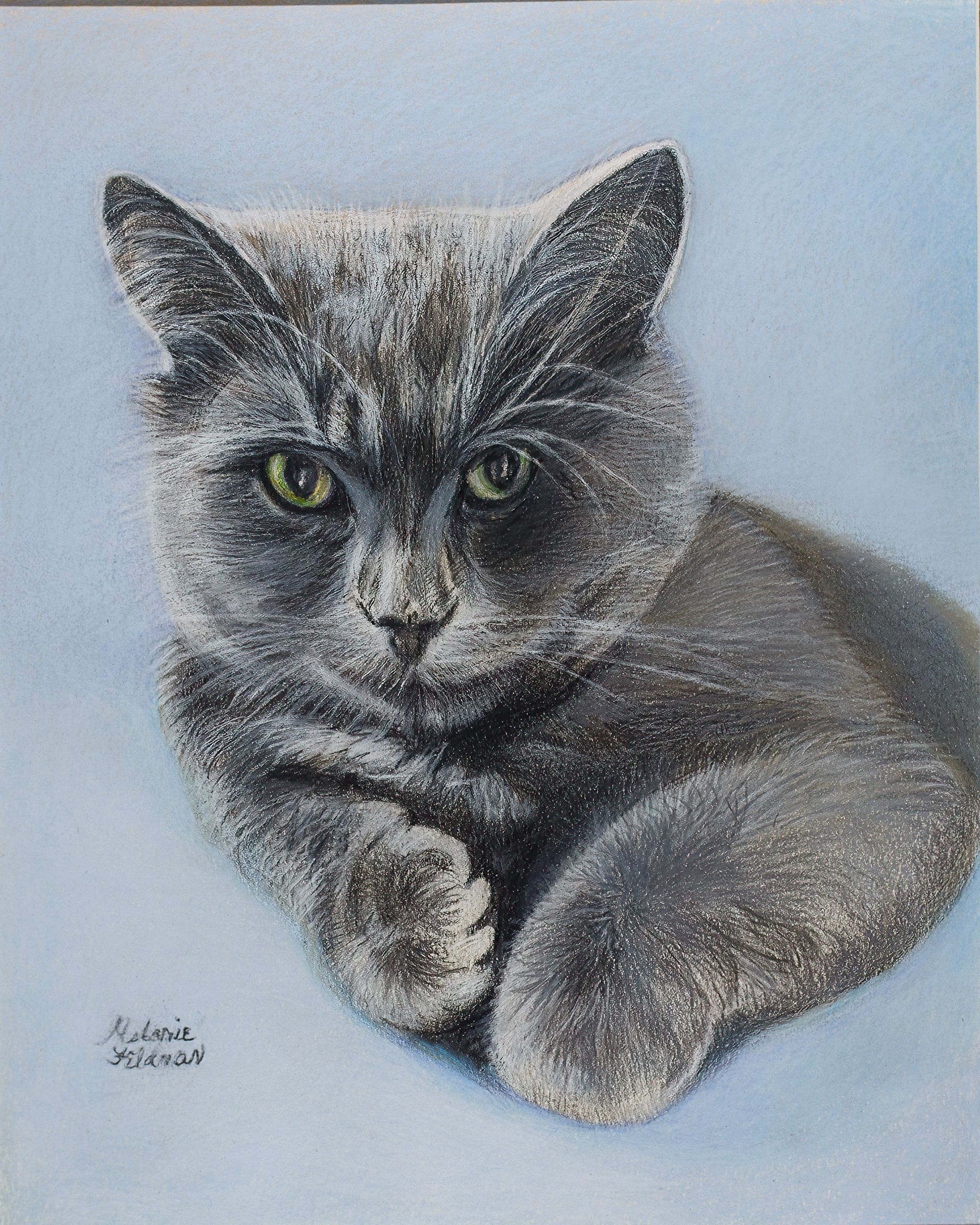 Gray tabby cat with green eyes, lying on a pale blue background, drawn in a soft pastel style