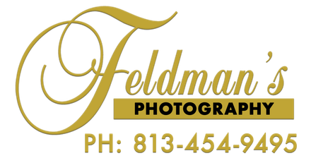 Feldman’s Photography logo in gold script with PH: 813-454-9495