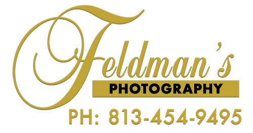 Feldman’s Photography logo with gold script and phone number 813-454-9495