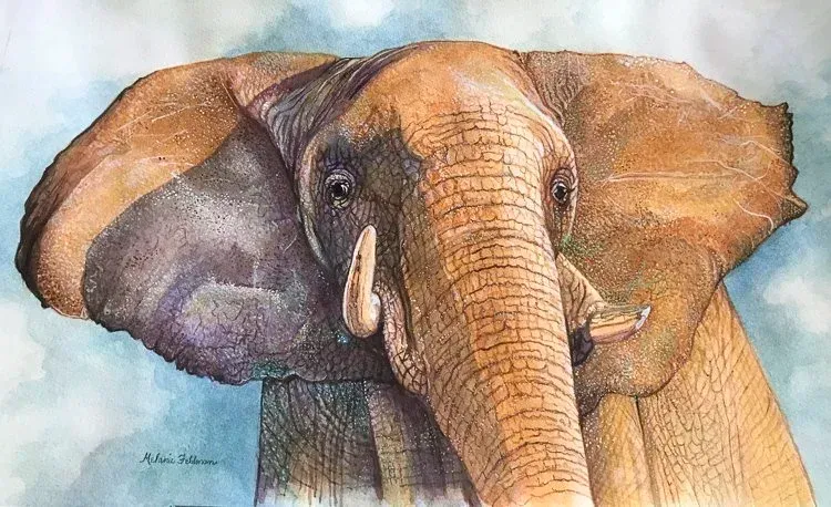 Watercolor elephant portrait with large ears and tusks, facing forward on a white background