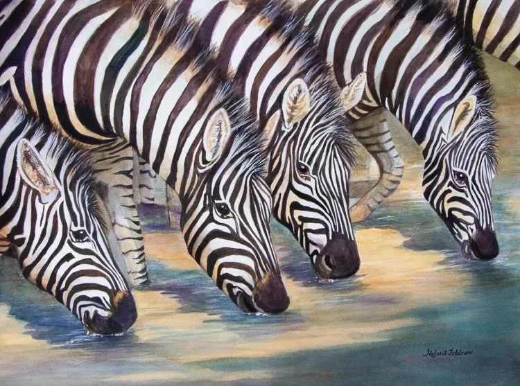 Three zebras drinking at a river, their striped heads reflected in the water.