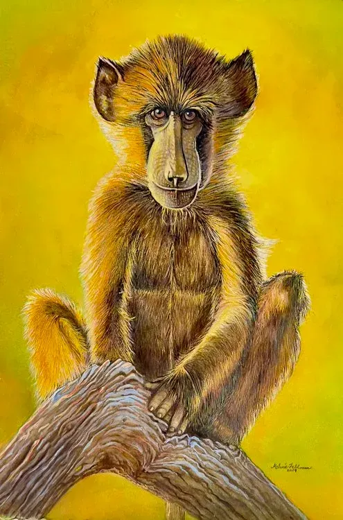 Baboon sitting on a tree branch against a bright yellow background