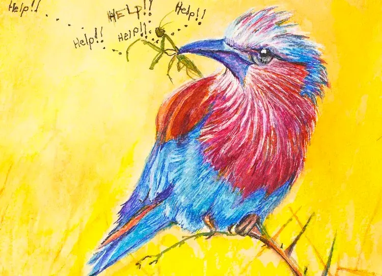 Colorful bird with blue, red, and pink feathers perched on a branch, calling out “help!” text