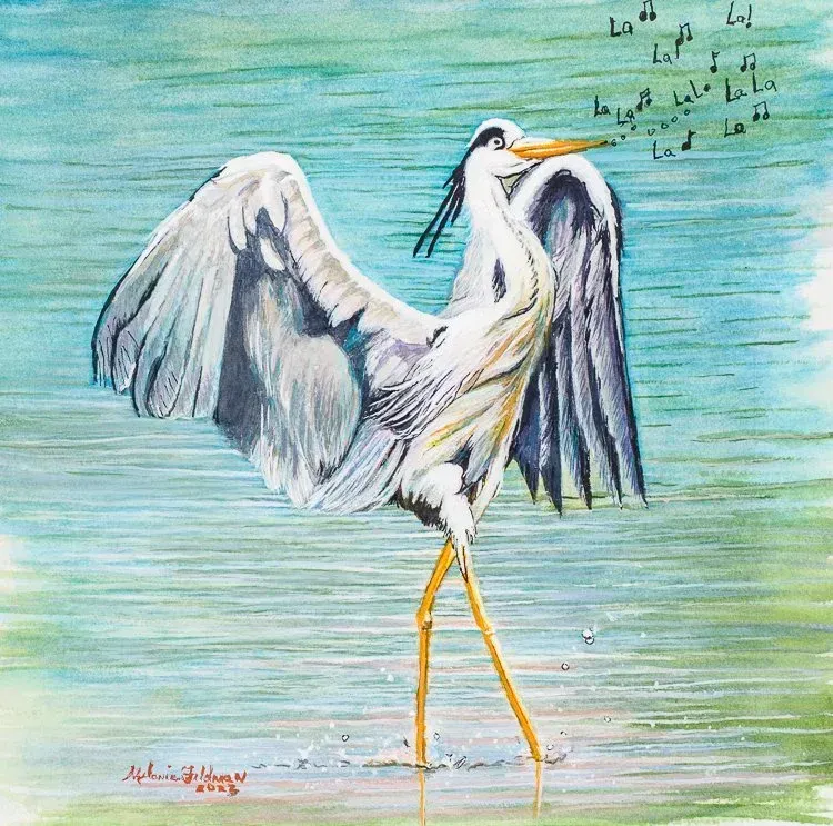 A white and gray heron standing in shallow water with wings spread, against a blue-green background.