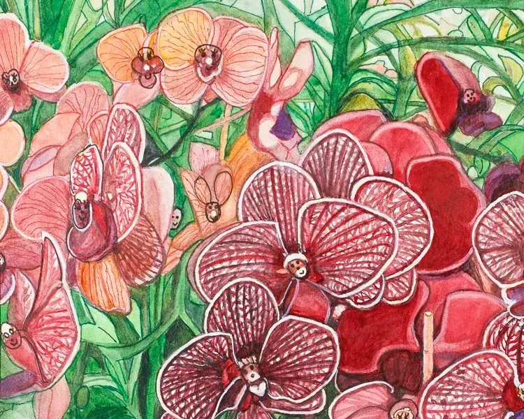 Pink and red orchids with green leaves in a lush, hand-drawn floral scene