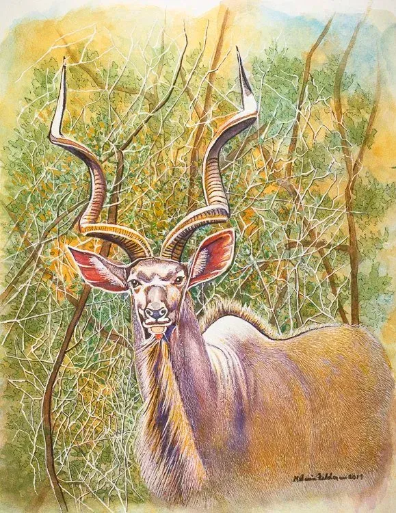 Illustrated kudu with long spiraled horns in tall grass, set against a soft yellow-green woodland background