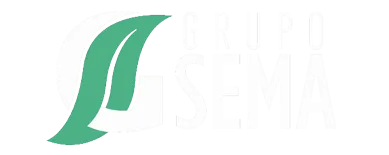 GRUPO SEMA