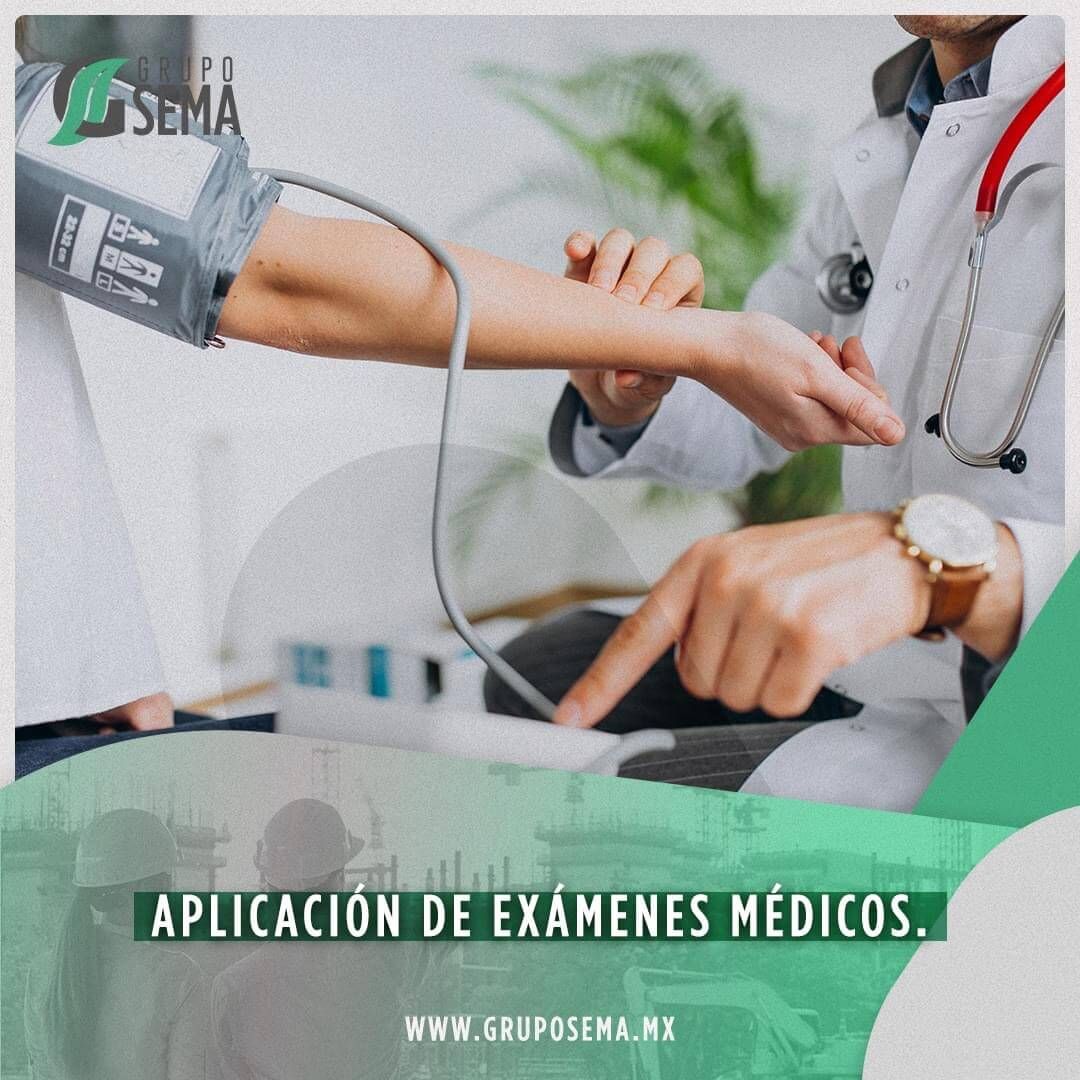 GRUPO SEMA