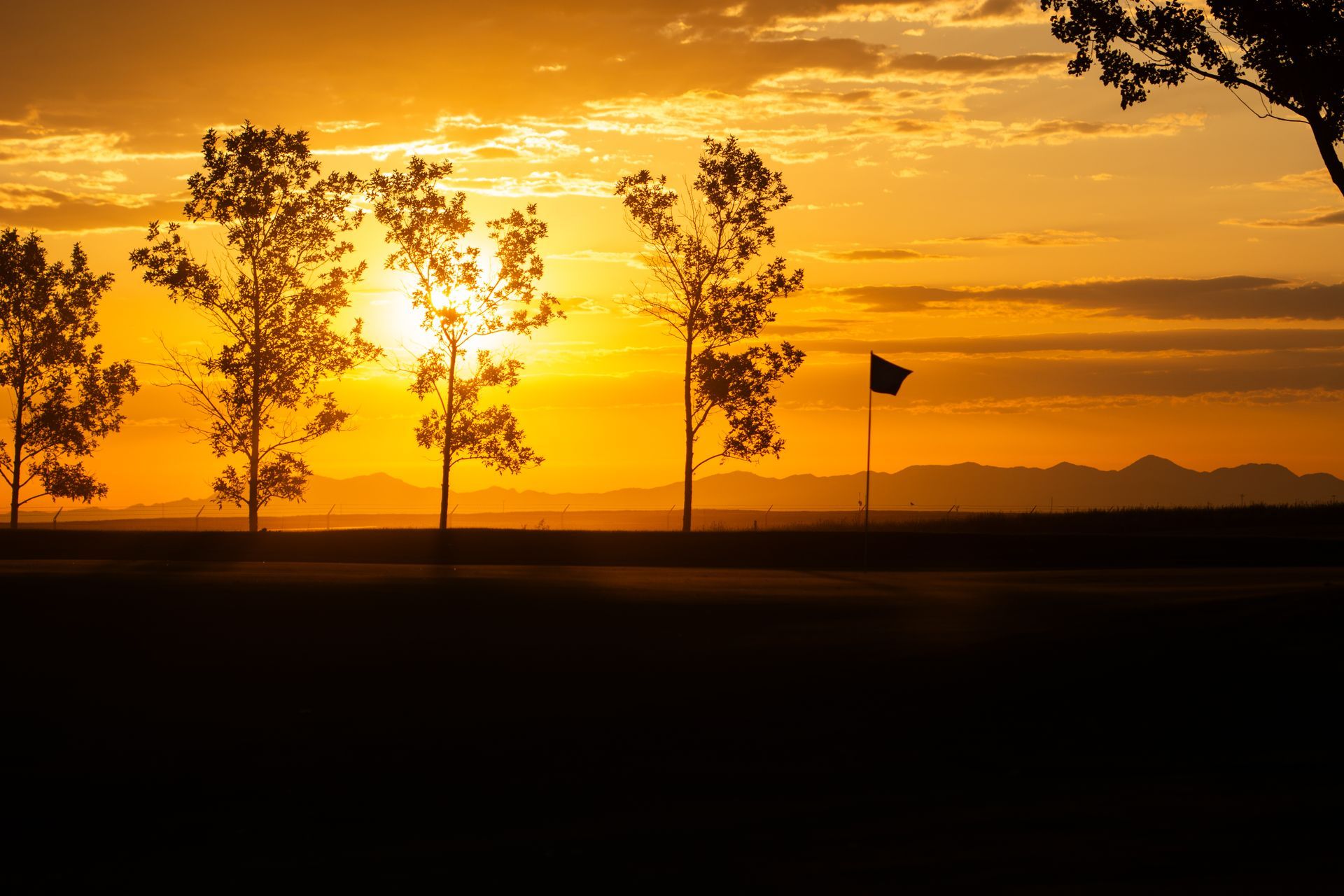 Silhouetted trees stand against a bright orange sunset, with a golf flag visible in the distance.