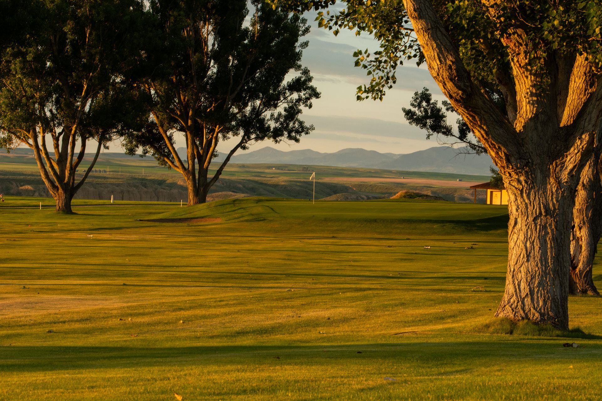 Golden hour light shines on a golf course fairway with mature trees and distant mountains in the background.