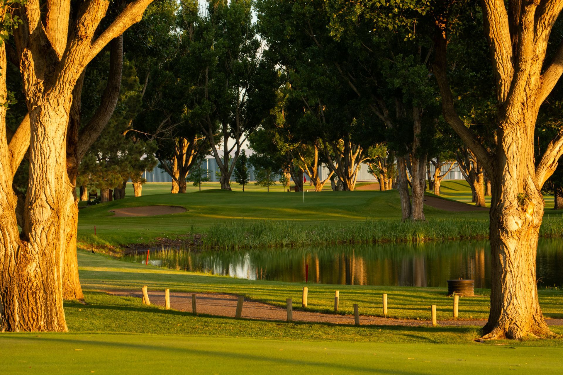A golden-lit golf course hole with a small pond, a path with wooden stakes, and framing trees at sunset.