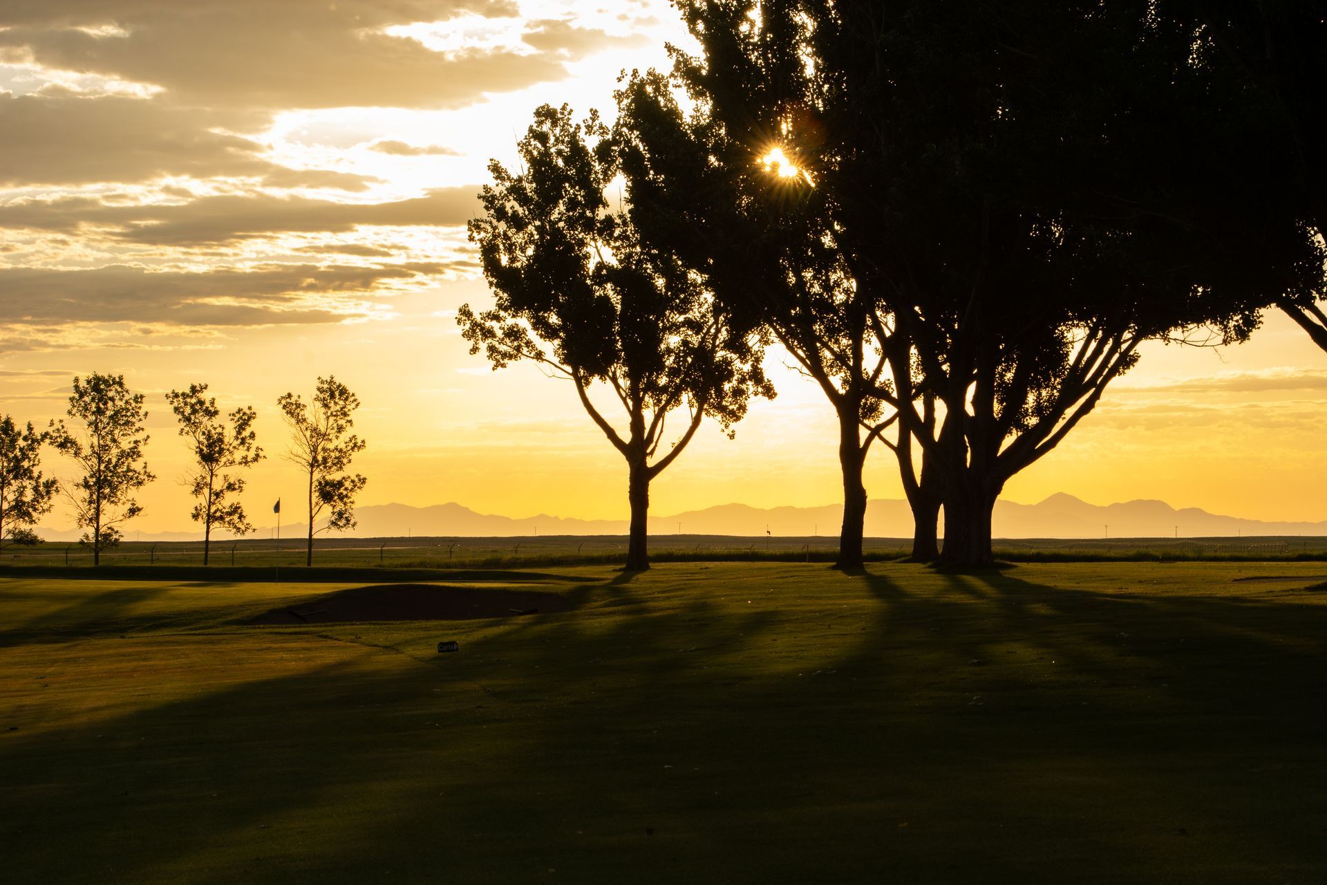 Golden sunset illuminates the horizon behind silhouetted trees on a grassy field.