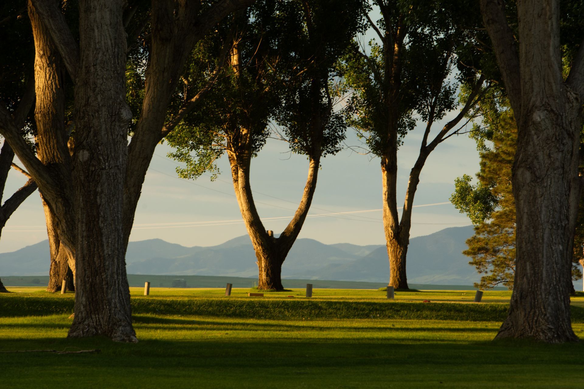 Sunlight illuminates a grassy meadow framed by tall trees, with rolling mountains in the hazy distance.