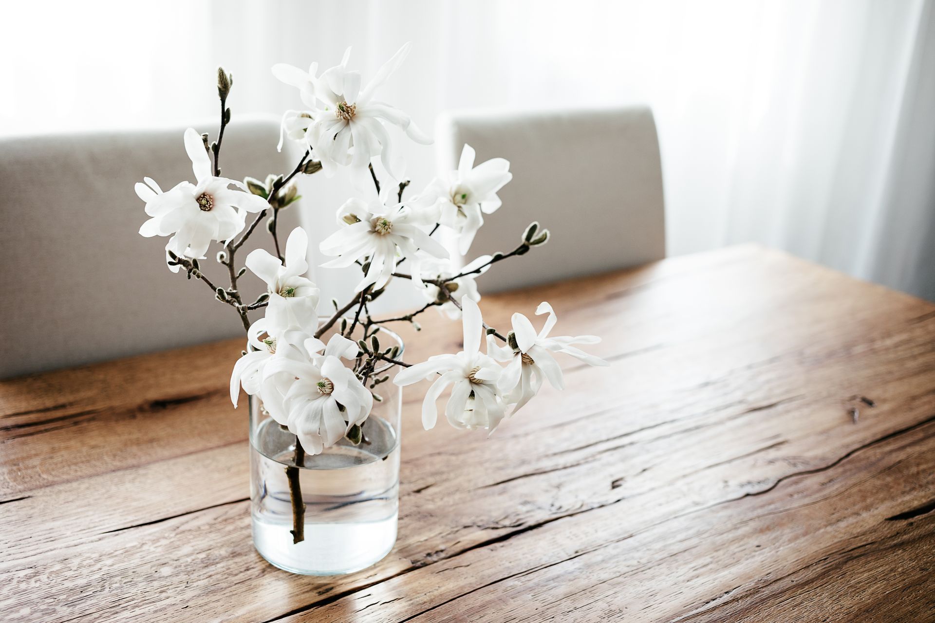 A minimalist arrangement of white flowers in a clear glass vase filled with water sits on a rustic wooden table. The soft, natural lighting filters through sheer white curtains in the background, creating an elegant and serene ambiance