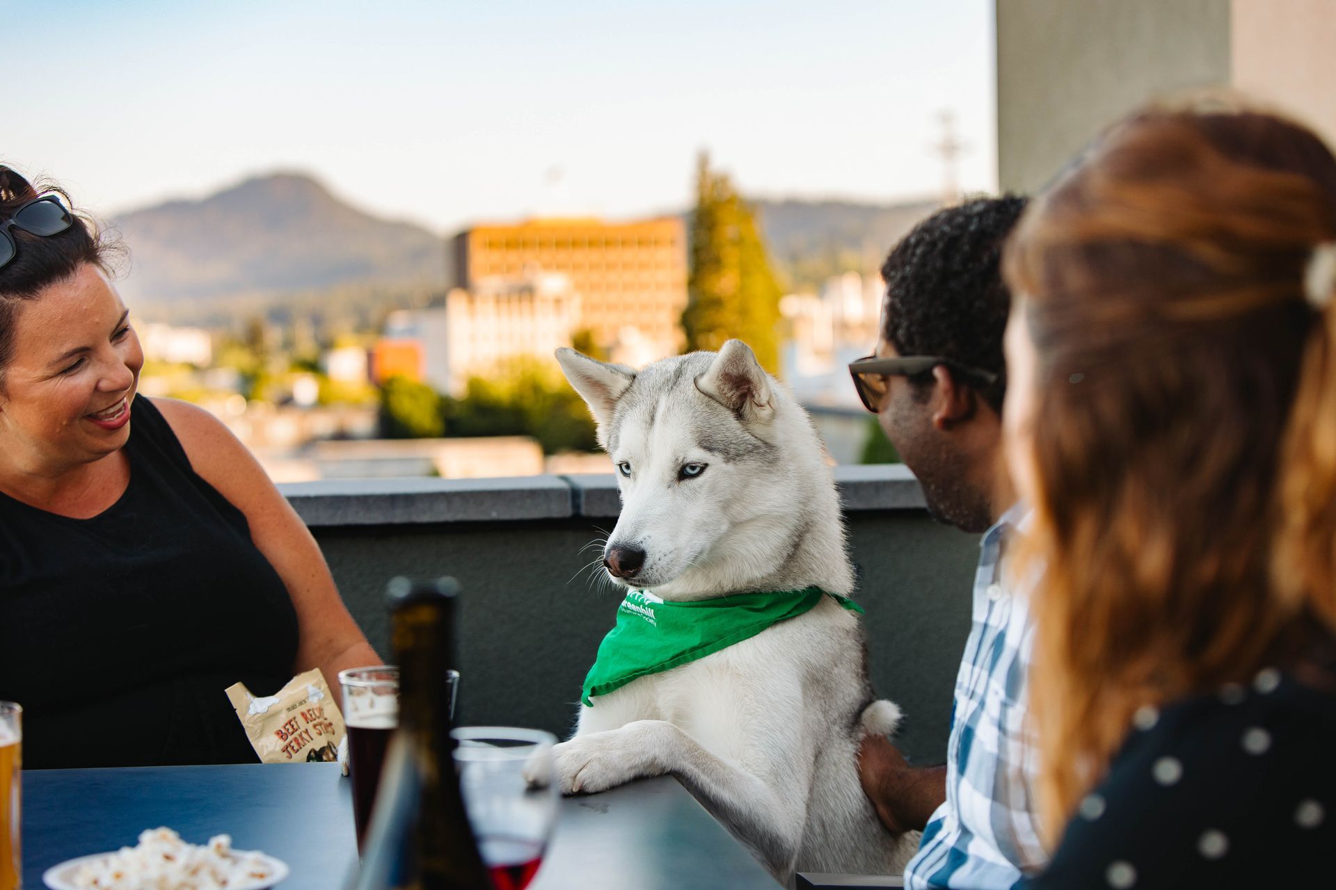 Group of people relaxing on the rooftop lounge with a husky wearing a green bandana. The dog sits at the table, surrounded by drinks and snacks, with a backdrop of downtown buildings and hills in the distance.