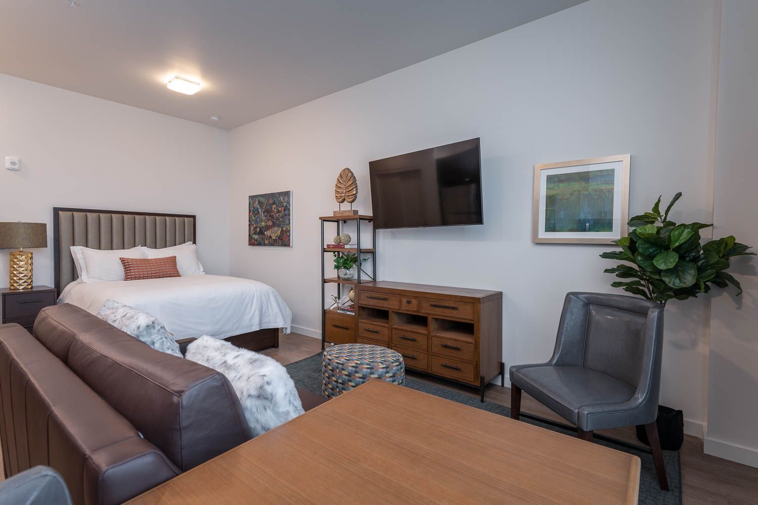 photo of furnished studio