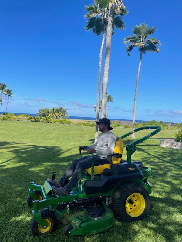 Lawn Mowing