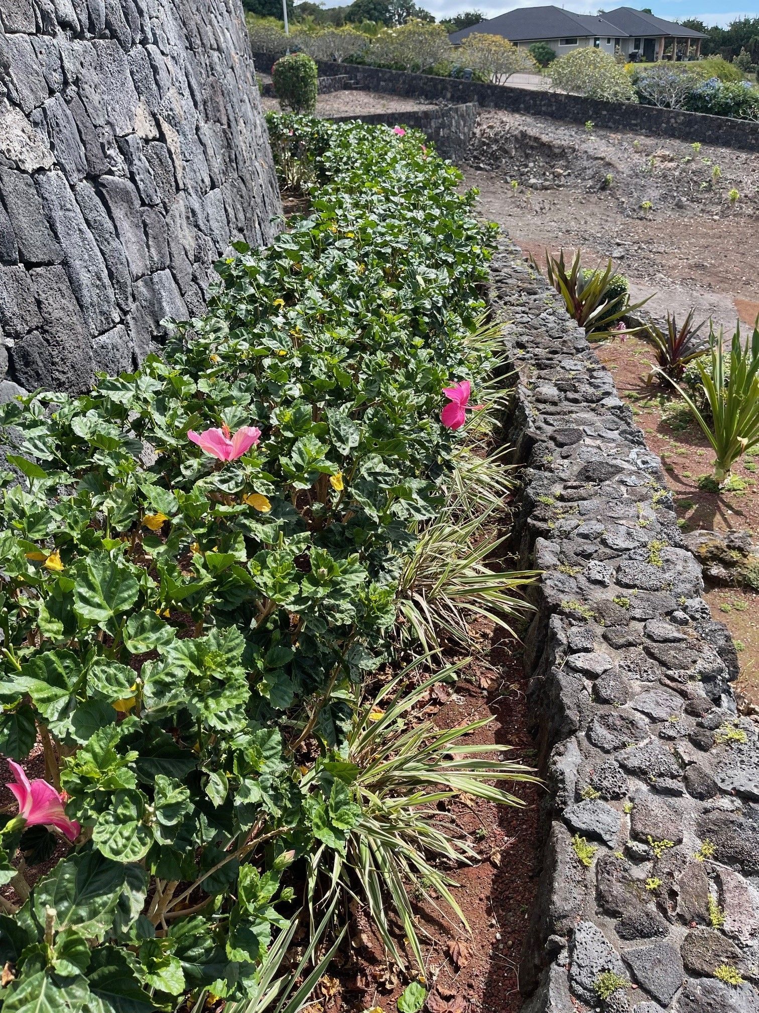 A stone wall surrounded by flowers and plants in a garden
