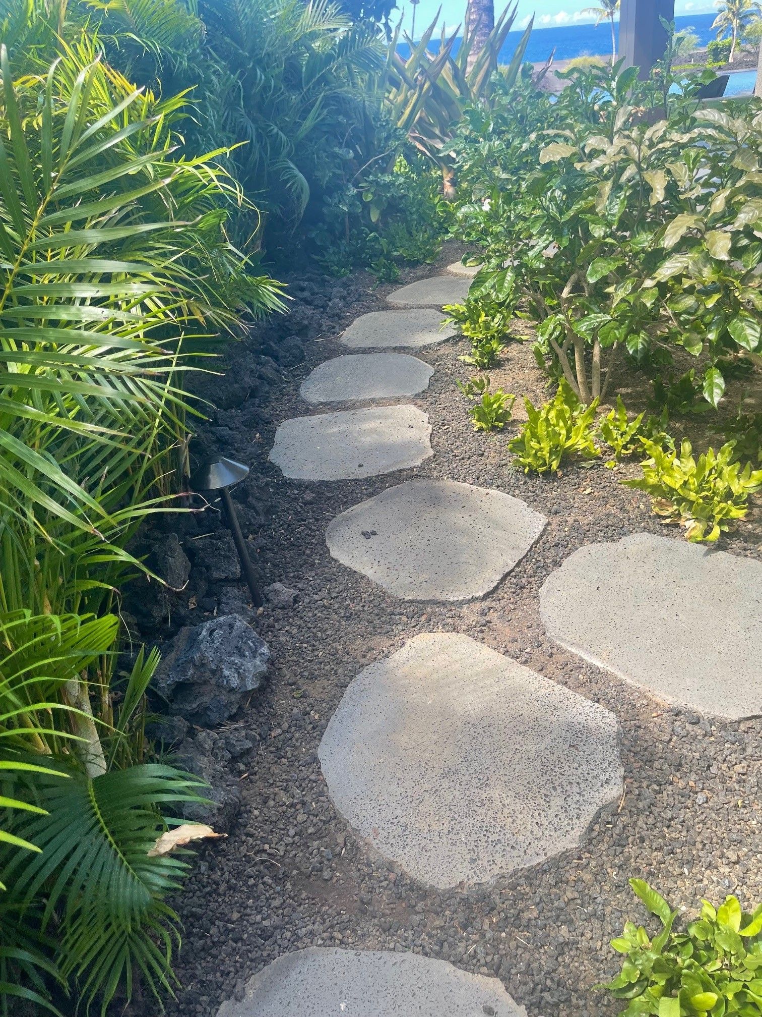 A stone walkway in a garden surrounded by plants and rocks