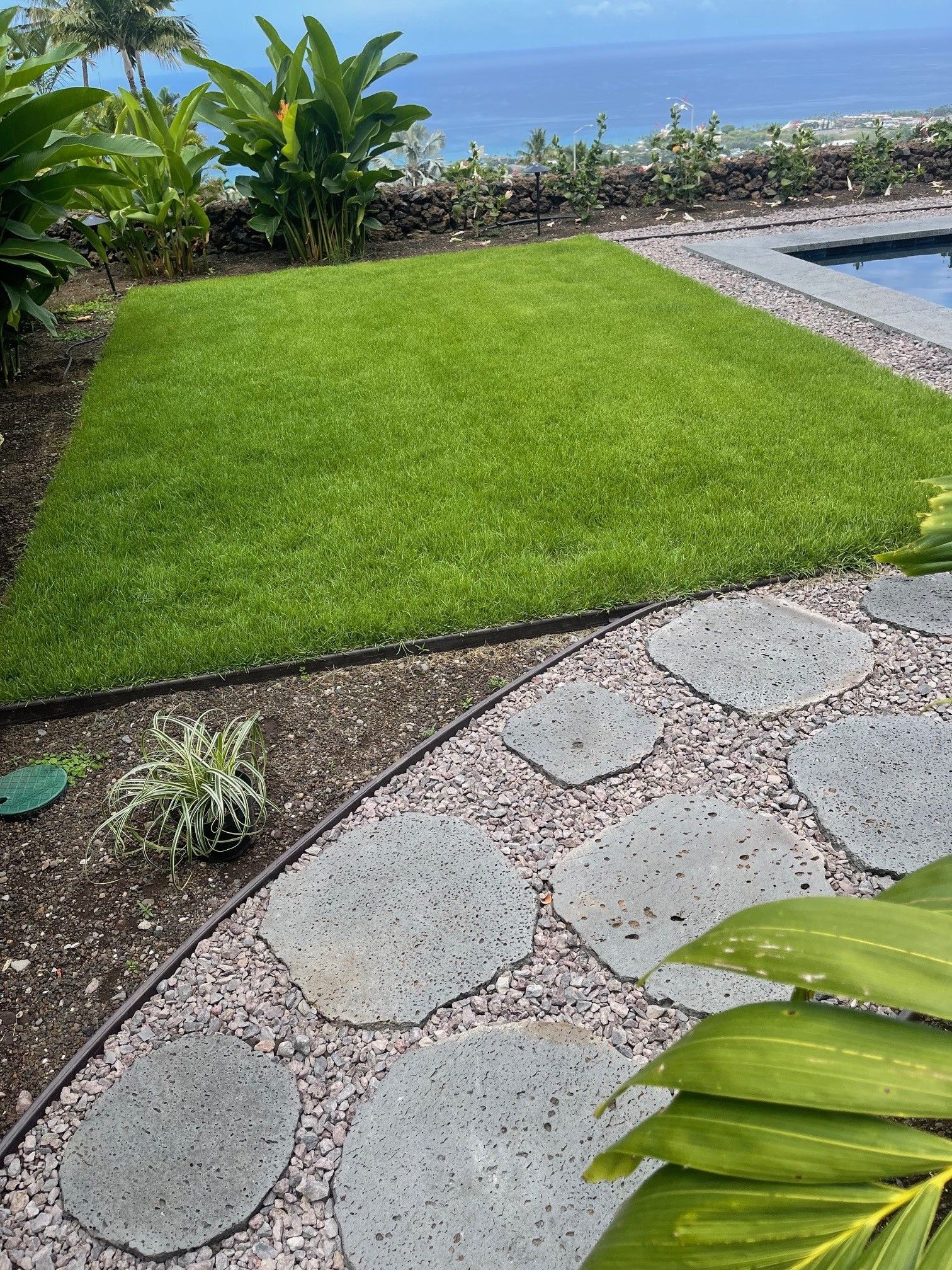 A lush green lawn with a stone walkway and a swimming pool in the background