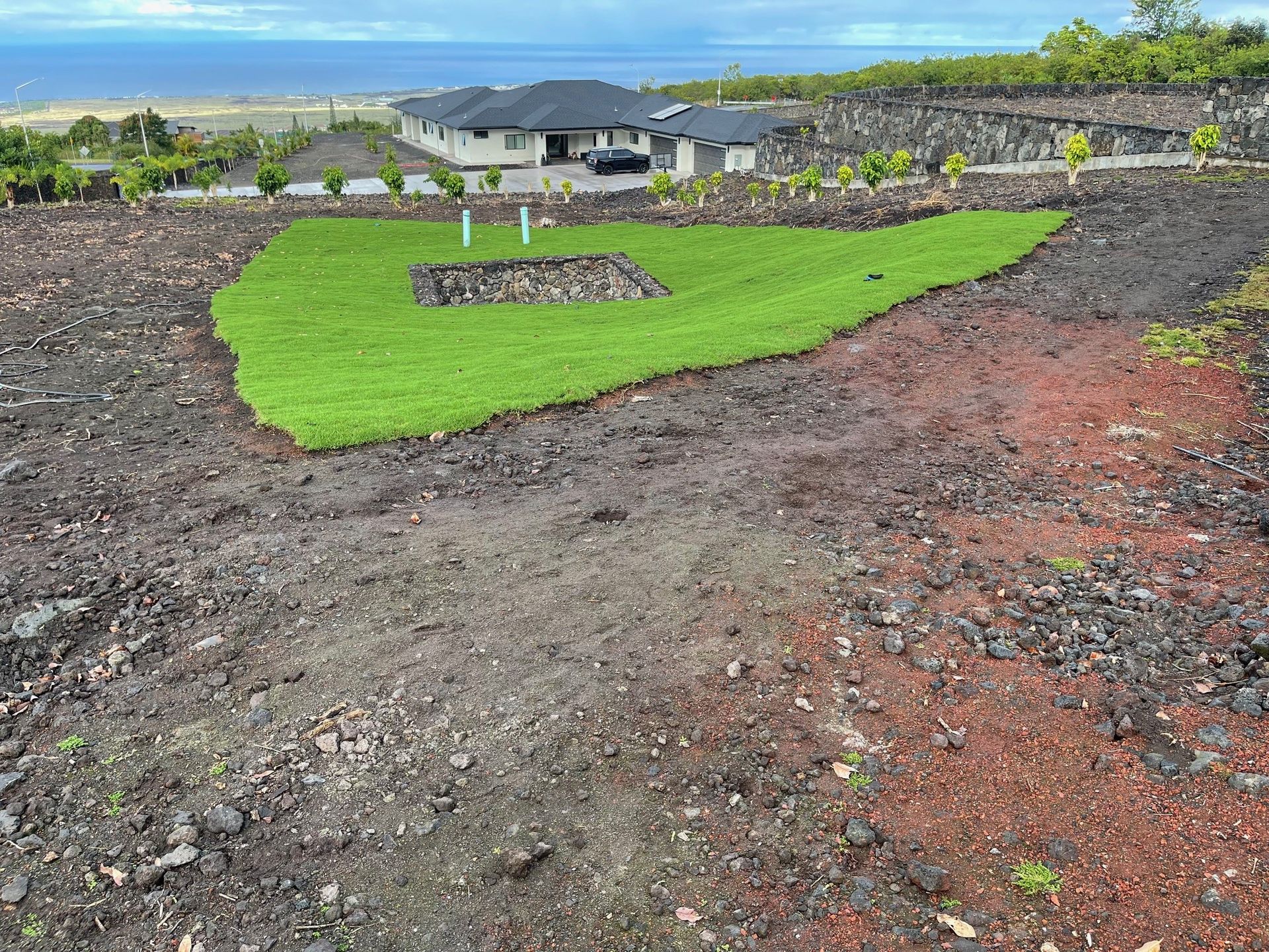 A large patch of grass is growing in the middle of a dirt field