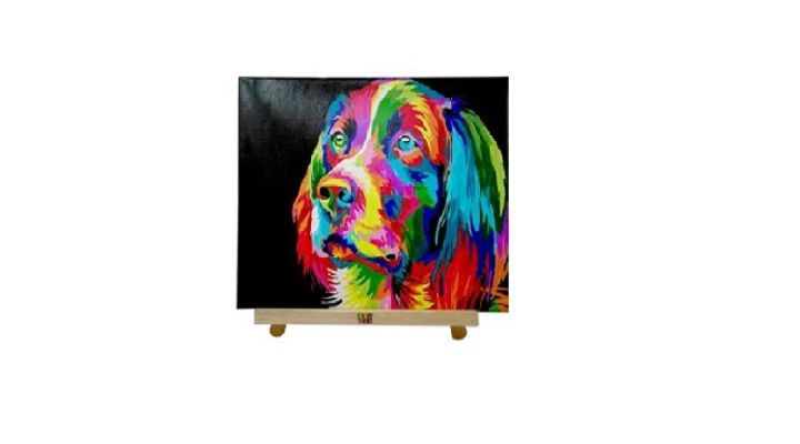 ARTE POR NÚMERO PERRO DE COLORES