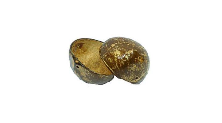 COCOS HAWAIANOS INFANTIL