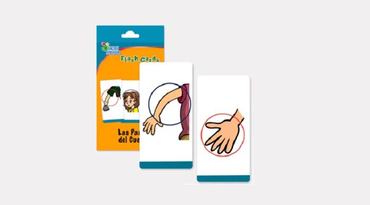FLASHCARDS PARTES DEL CUERPO