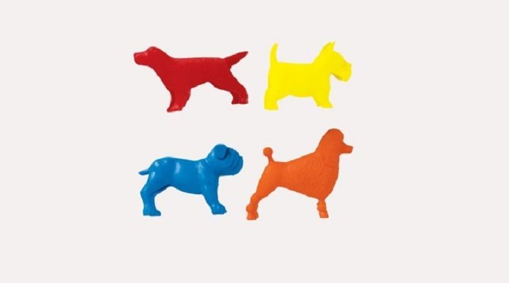 PERROS CLASIFICADORES