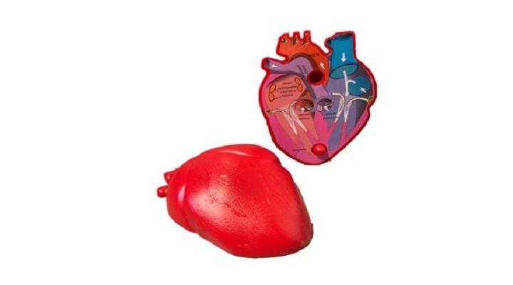 CORAZON HUMANO
