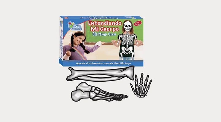 ENTENDIENDO MI CUERPO SISTEMA ÓSEO